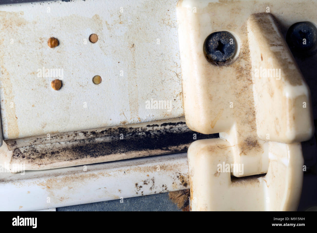 Black mould and dirt that has built up on the back of a chest freezer. England UK GB Stock Photo