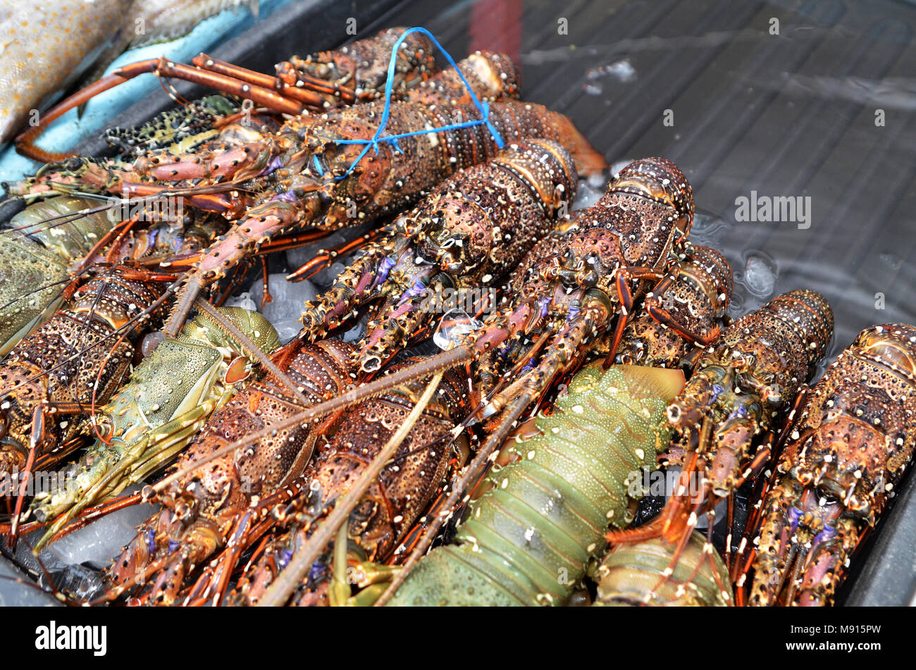 Malaysia kota kinabalu seafood restaurant hires stock photography and
