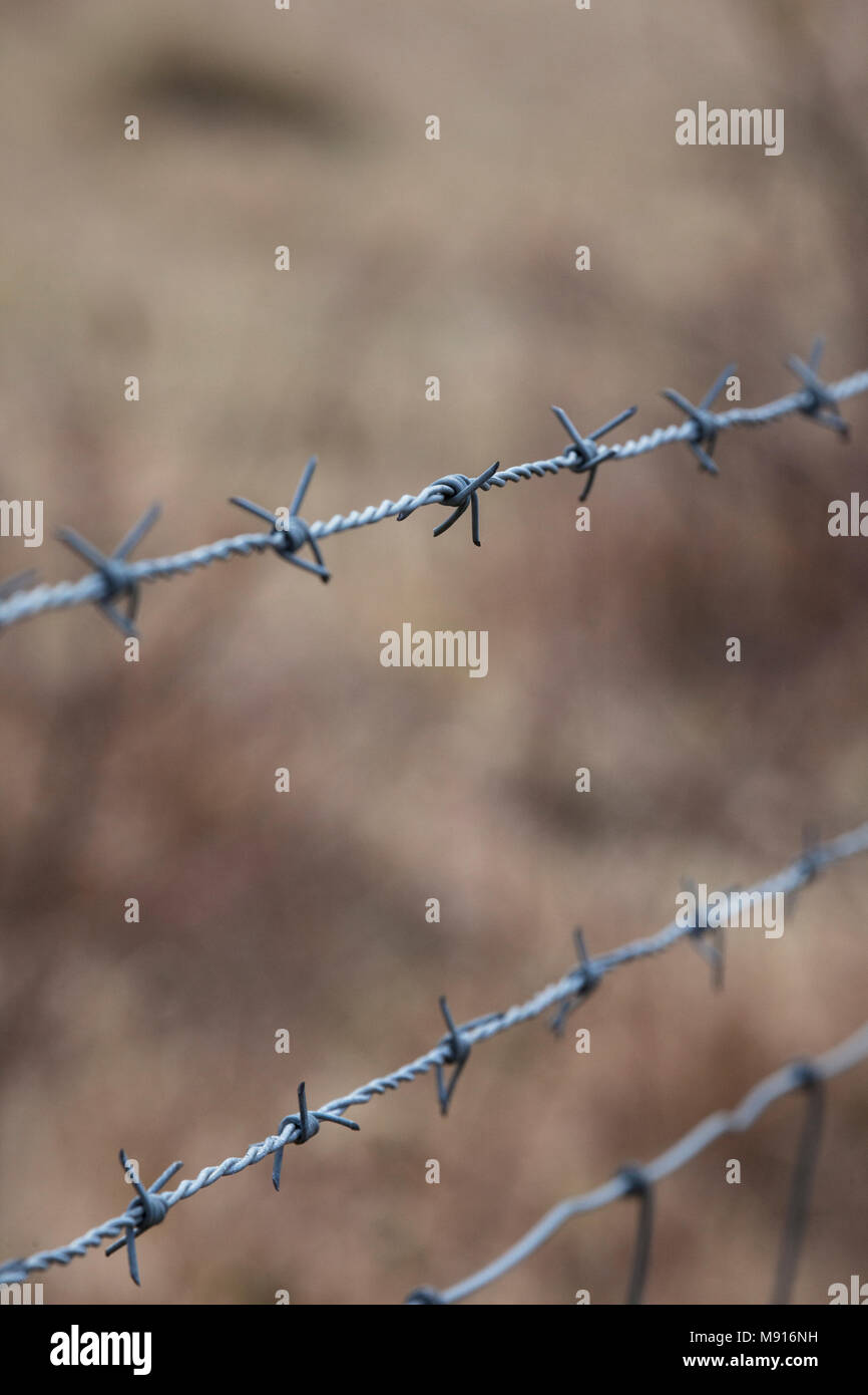 Barb wire, close up selective focus. Stock Photo