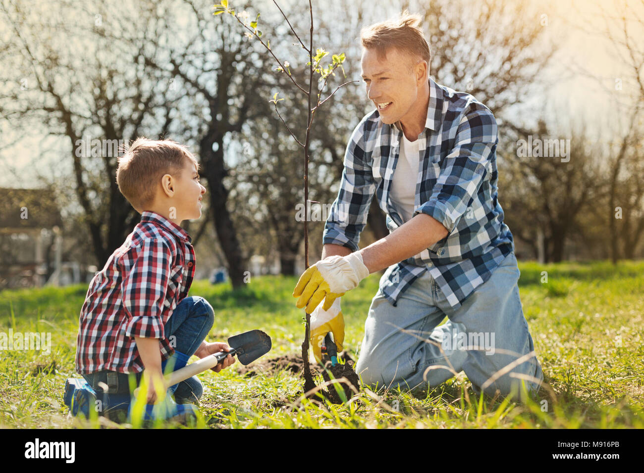 Joyful man and his son planting a tree in the garden Stock Photo