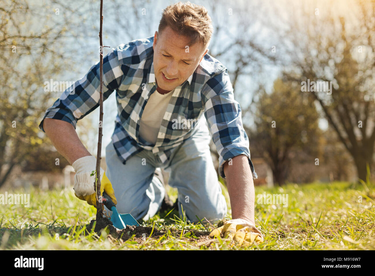 Positive man planting a tree in the garden Stock Photo