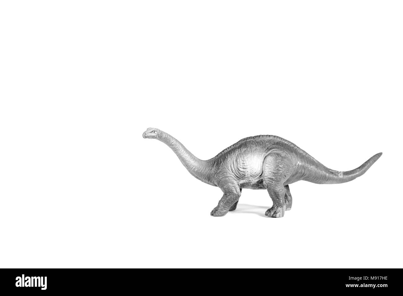 Sauropod walking on the white background.Simulation walking of the dinosaur. Stock Photo