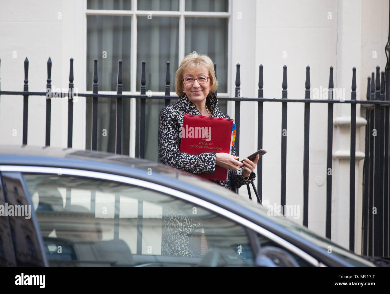 Andrea Leadsom, Leader of The House of Commons and President of the Council, at Downing Street for a Cabinet meeting Stock Photo