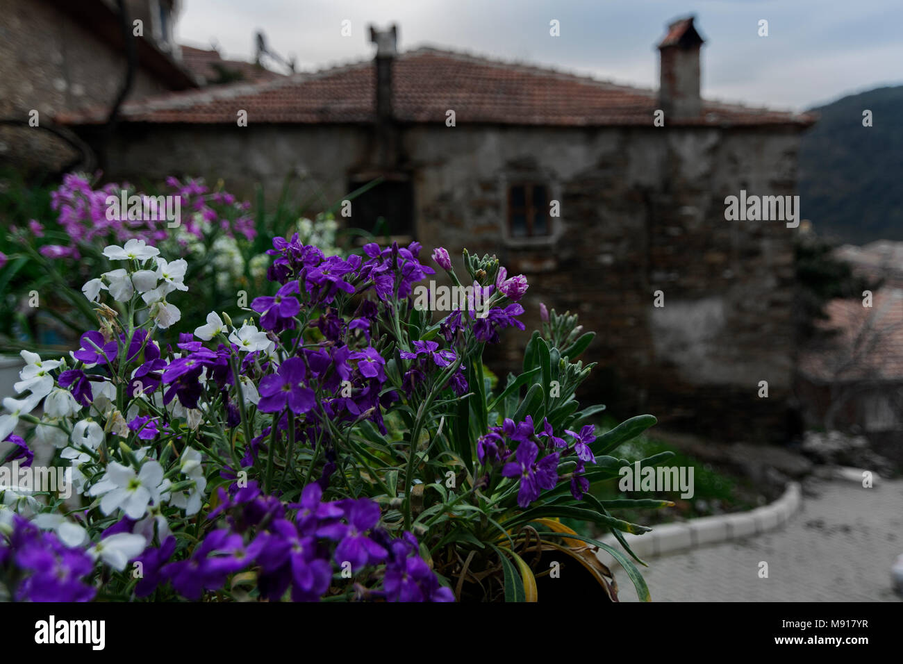 Hisarlik hires stock photography and images Alamy