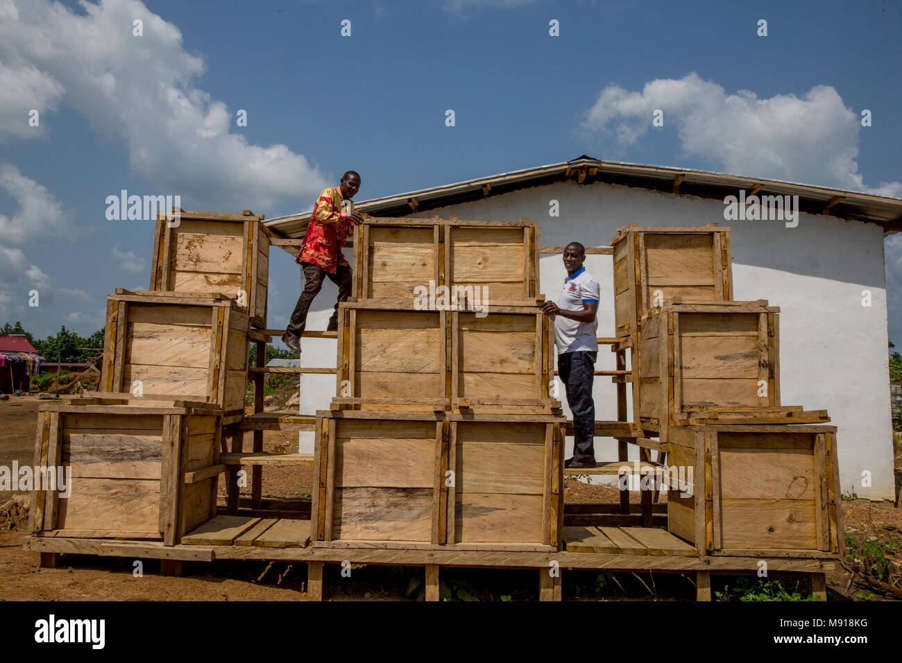 Ivory Coast. Cocoa fermentation tanks. Stock Photo