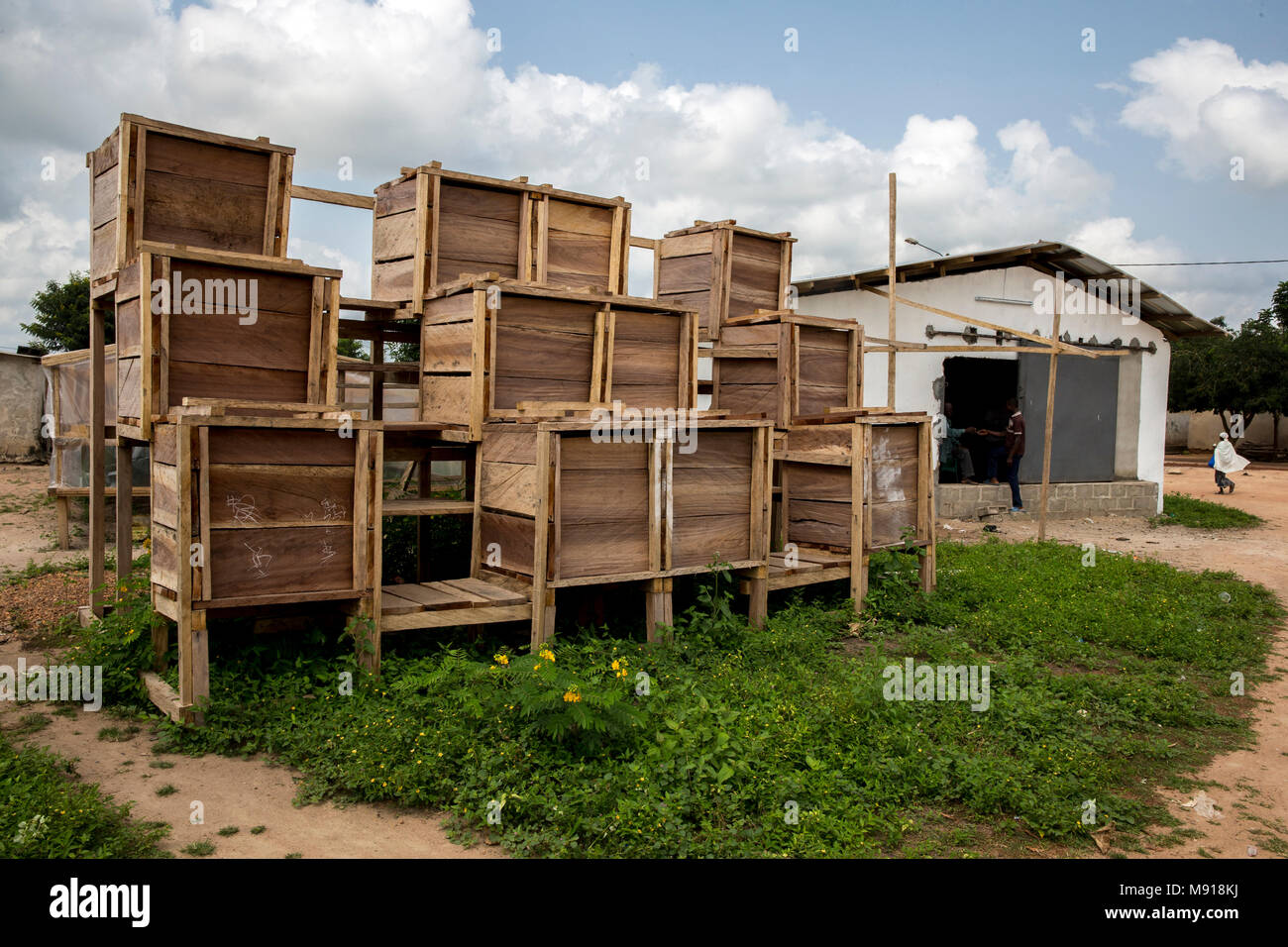 Ivory Coast. Cocoa fermentation tanks. Stock Photo