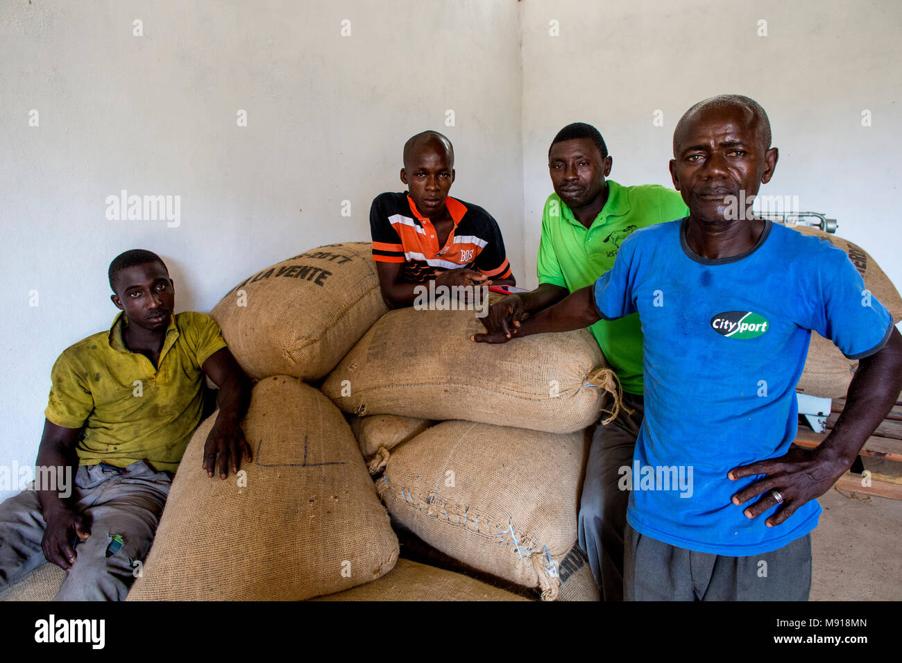 Ivory Coast. Cocoa cooperative members in a warehouse. Stock Photo