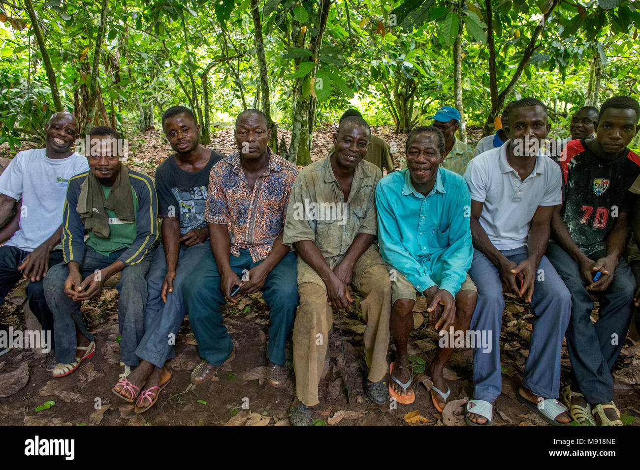 Ivory Coast. Cocoa farmers' cooperative members. Stock Photo