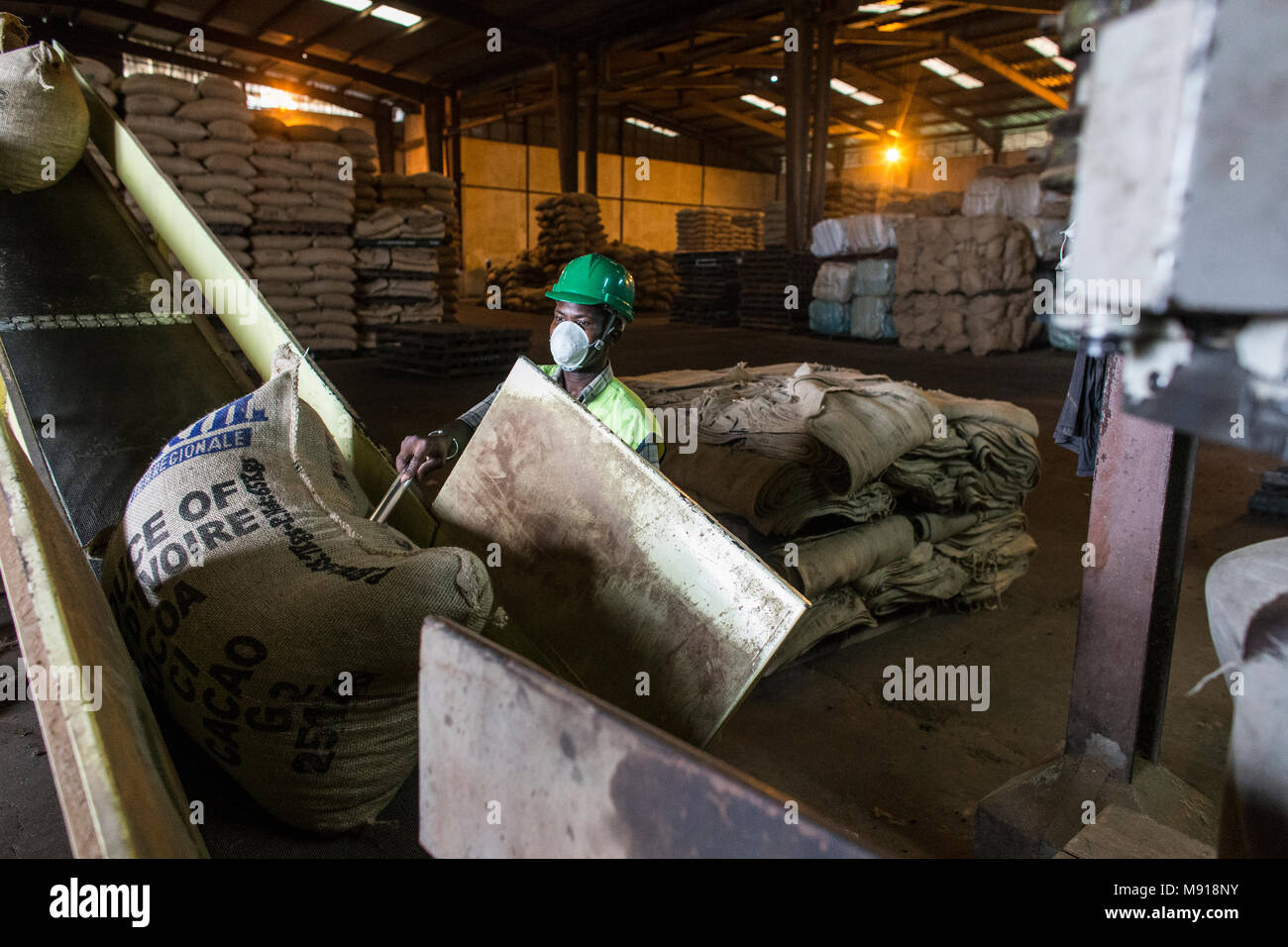 Cocoa humidity check at Abidjan port facilities, Ivory Coast. Stock Photo