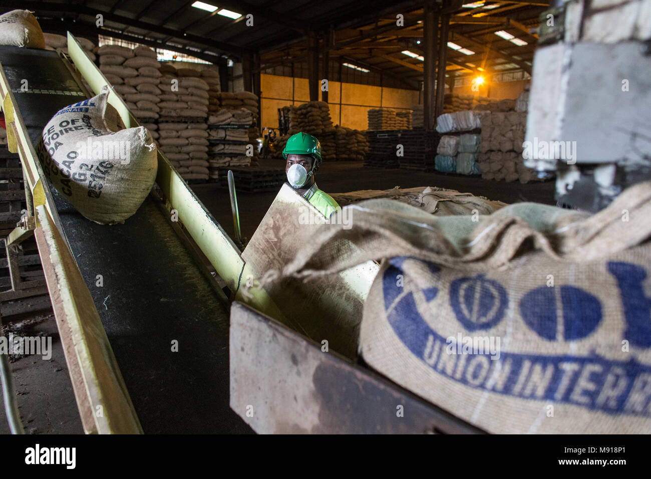 Cocoa bag sewing and humidity check at Abidjan port facilities, Ivory Coast. Stock Photo