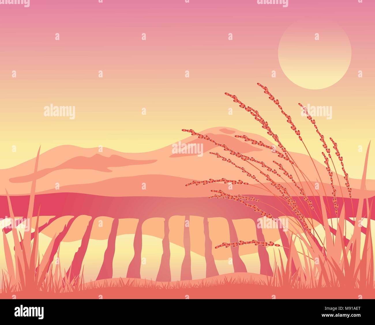 a vector illustration in eps 10 format of an Asian paddy field with mountain landscape at sunset in rose and pink colors Stock Vector