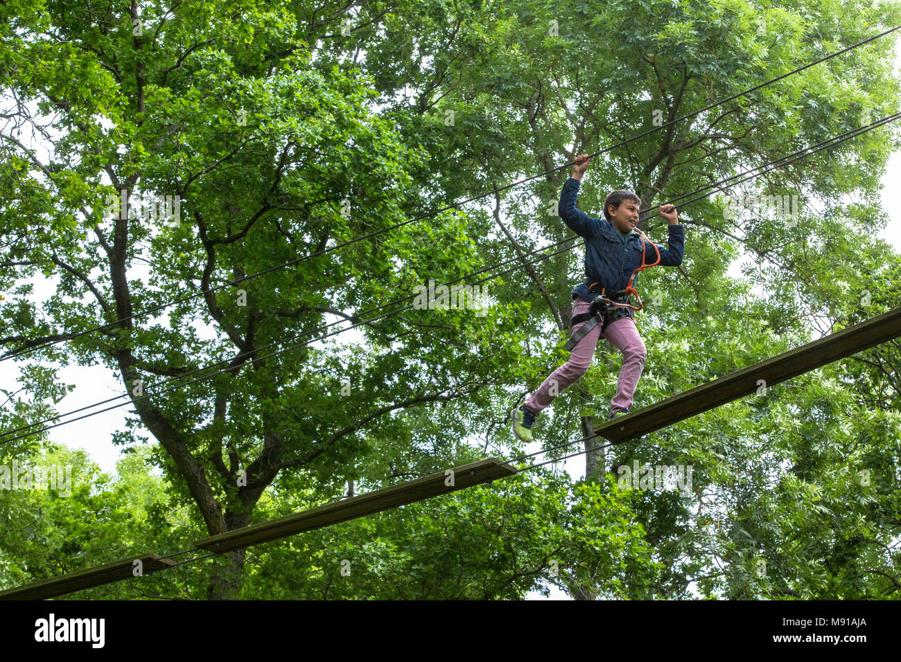 11-year-old boy on a rope course. France. Stock Photo