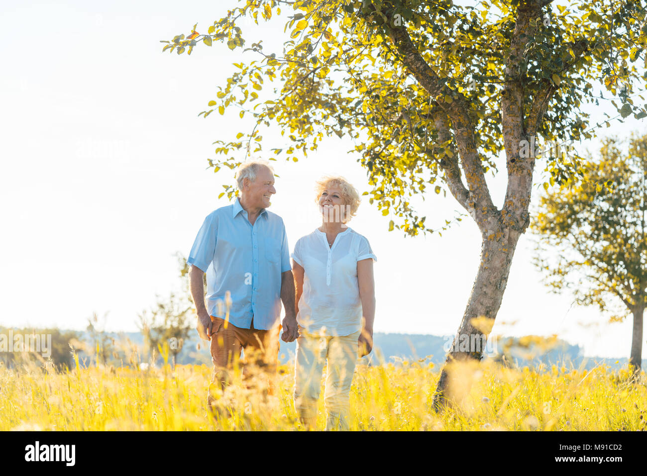 Romantic senior couple holding hands while walking together Stock Photo ...