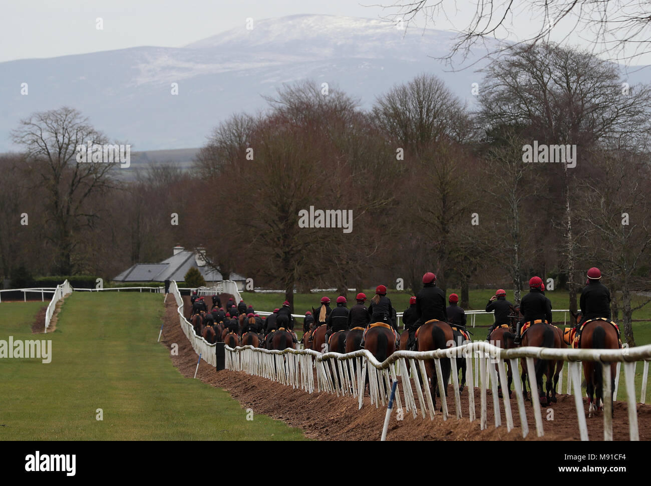 Aidan O'Brien trained horses on the gallops at Ballydoyle Racing Stables, County Tipperary, during the launch of 2018 Irish Flat Season. Stock Photo