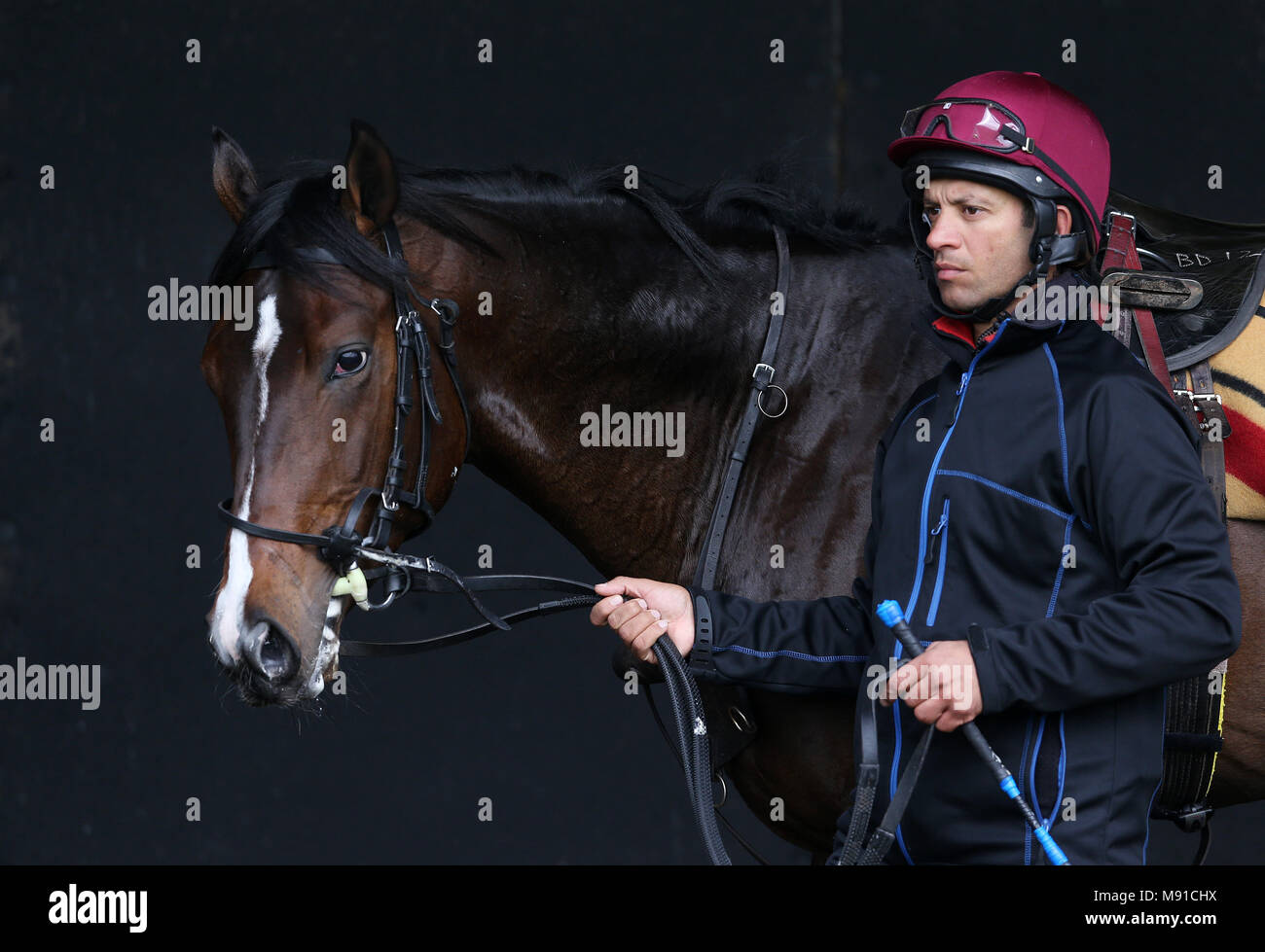Aidan O'Brien trained US Navy Flag at Ballydoyle Racing Stables, County Tipperary, during the launch of 2018 Irish Flat Season. PRESS ASSOCIATION Photo. Picture date: Wednesday March 21, 2018. Photo credit should read: Brian Lawless/PA Wire Stock Photo