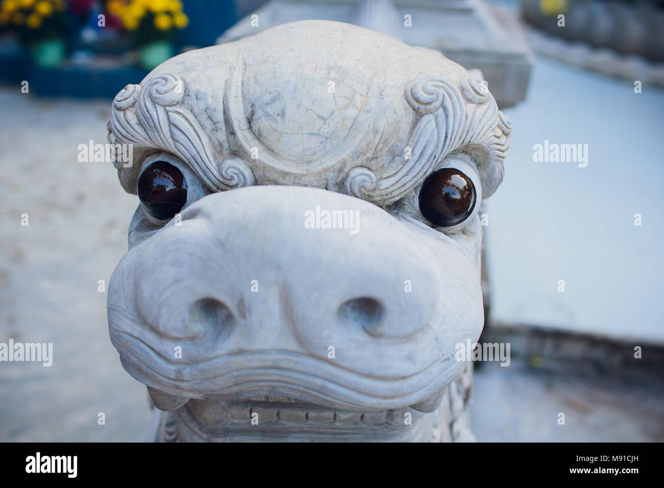 Statue of dragon animals Asia Vietnam Pagoda Stock Photo Alamy