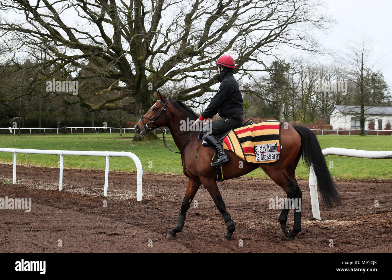 Aidan O'Brien trained Gustav Klimt on the gallops at Ballydoyle Racing Stables, County Tipperary, during the launch of 2018 Irish Flat Season. Stock Photo