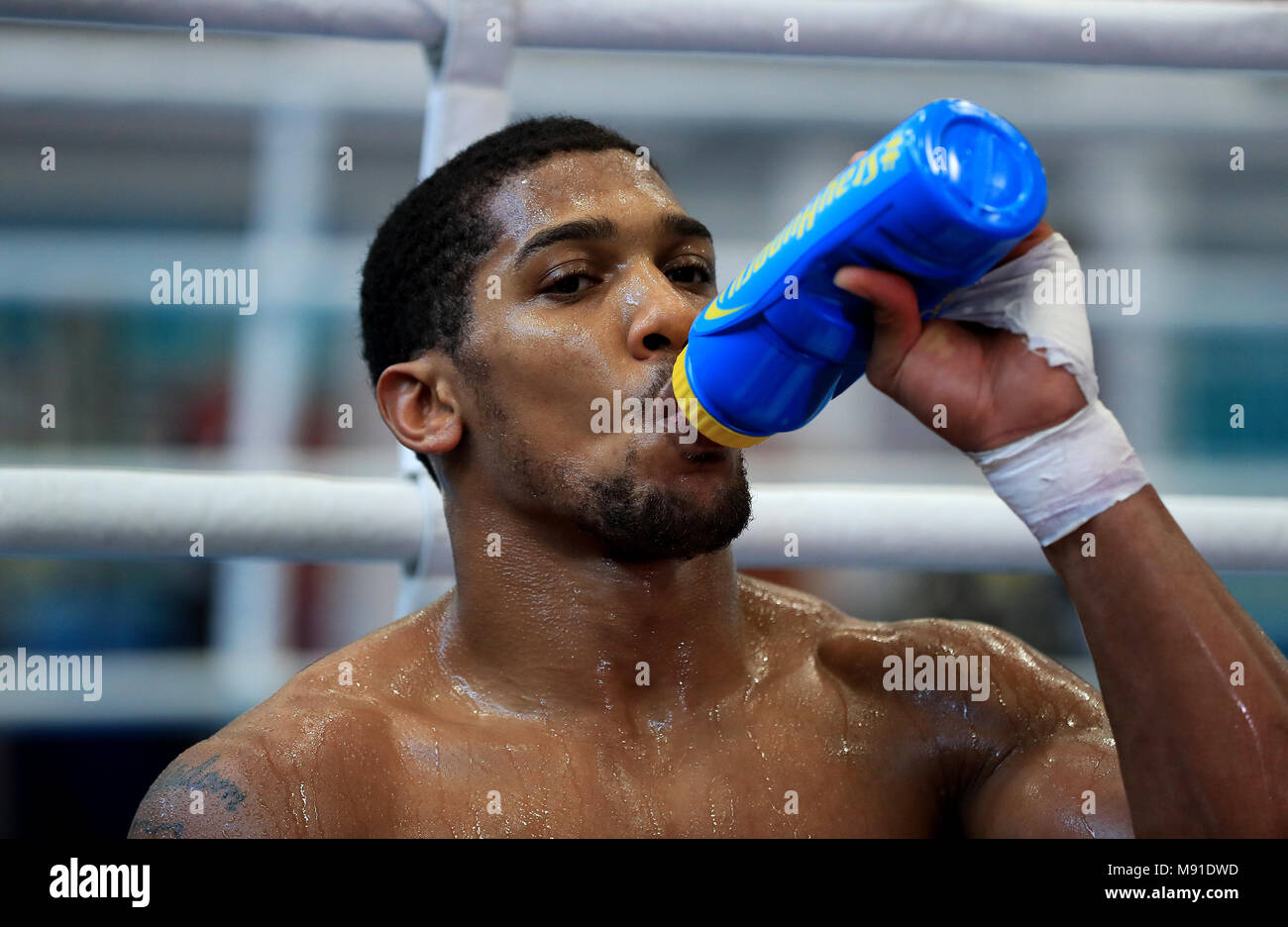 Anthony Joshua during the workout at the English Institute of Sport, Sheffield. Stock Photo
