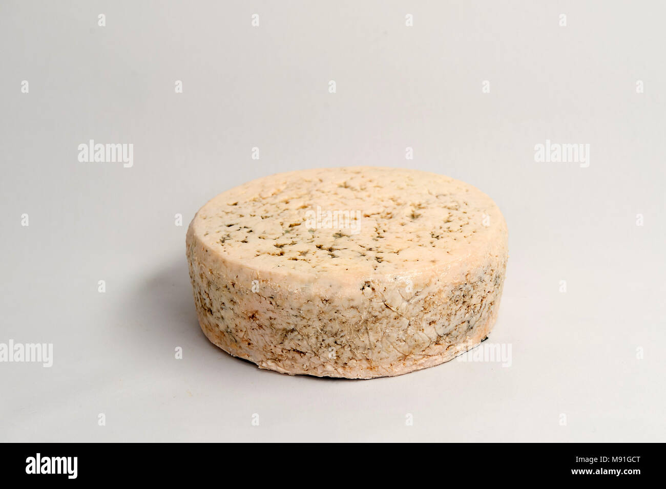 Cabrales is a blue cheese made in the artisan tradition by rural dairy farmers in Asturias, Spain. Stock Photo