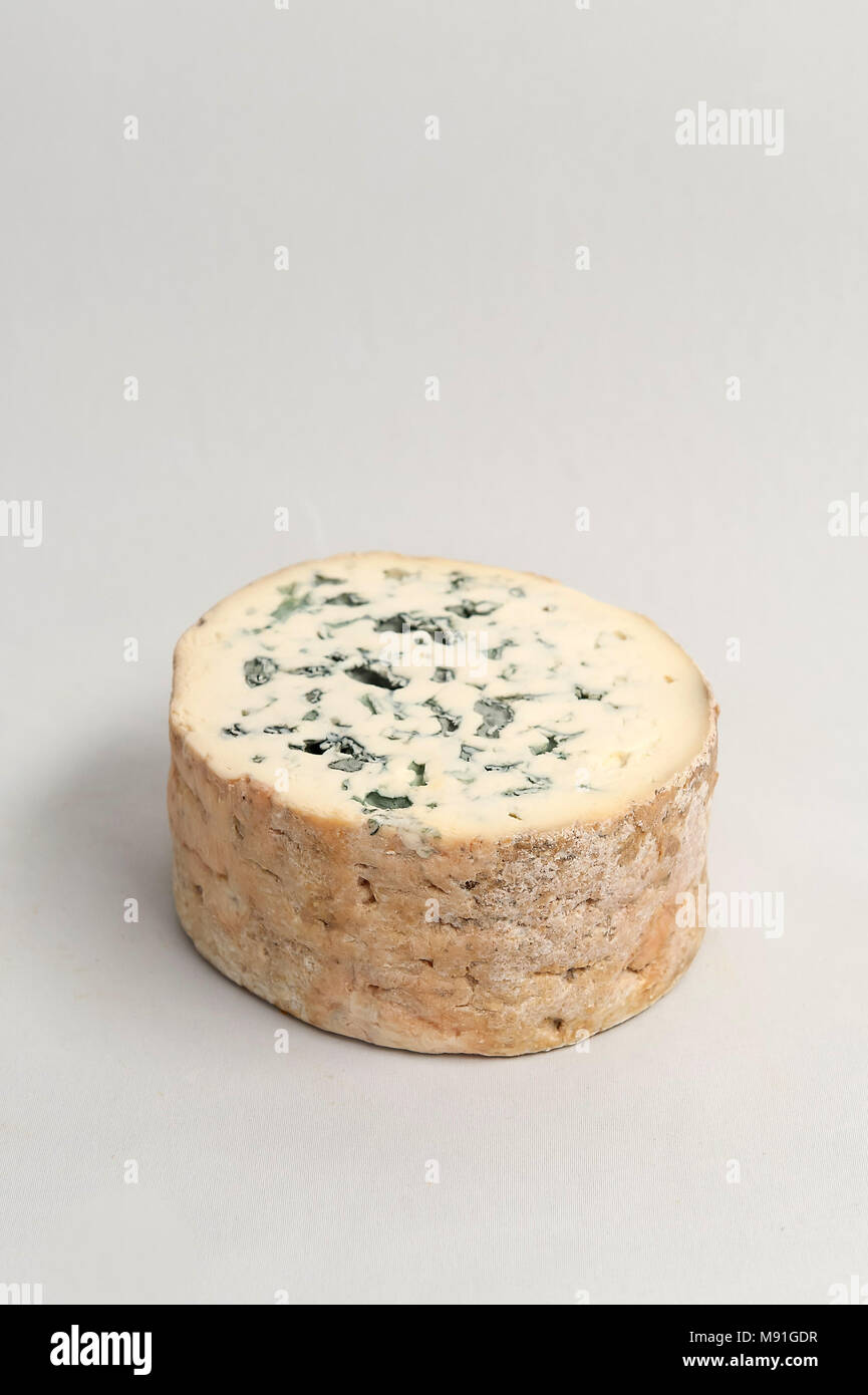 French semi hard blue cheese Fourme d'Ambert Stock Photo