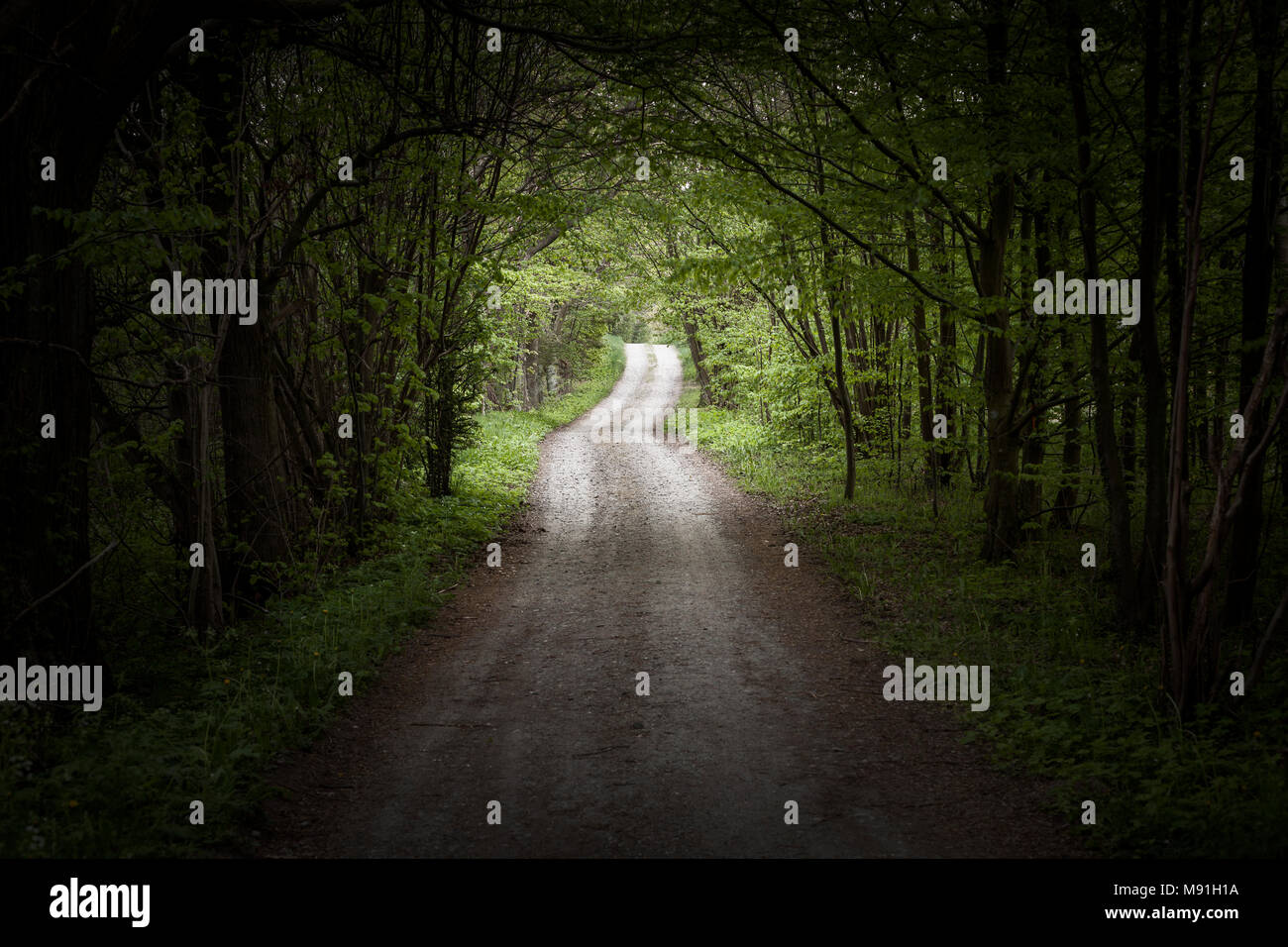 Narrow curvy road hi-res stock photography and images - Alamy