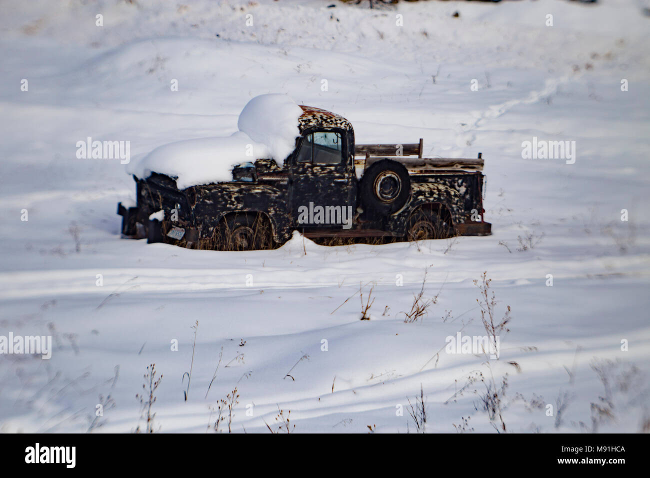 A black 1956 International S100 stepside pickup truck, in a snow covered field, in Philipsburg, Montana. Stock Photo