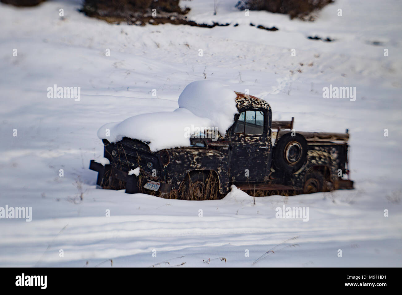A black 1956 International S100 stepside pickup truck, in a snow covered field, in Philipsburg, Montana. Stock Photo