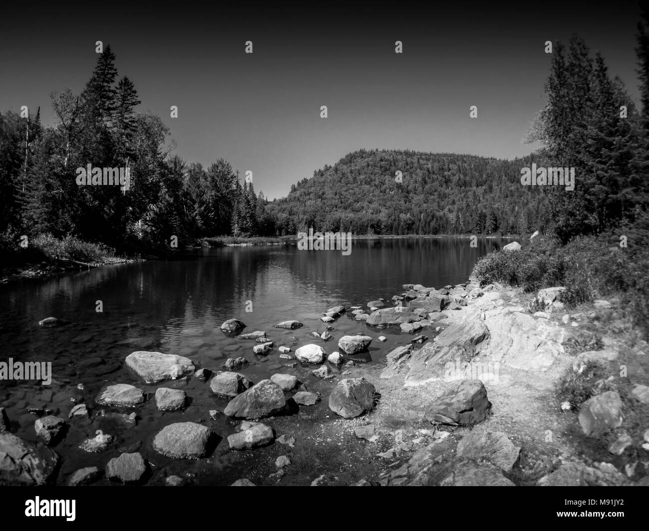 Sunny summer morning outside Black and White Stock Photos & Images - Alamy