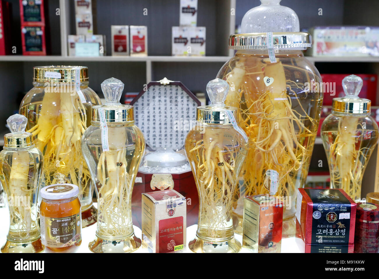 Ginseng (Panax ginseng). Roots of different shape and sizes in alcohol for sale.  Ho Chi Minh City. Vietnam. Stock Photo