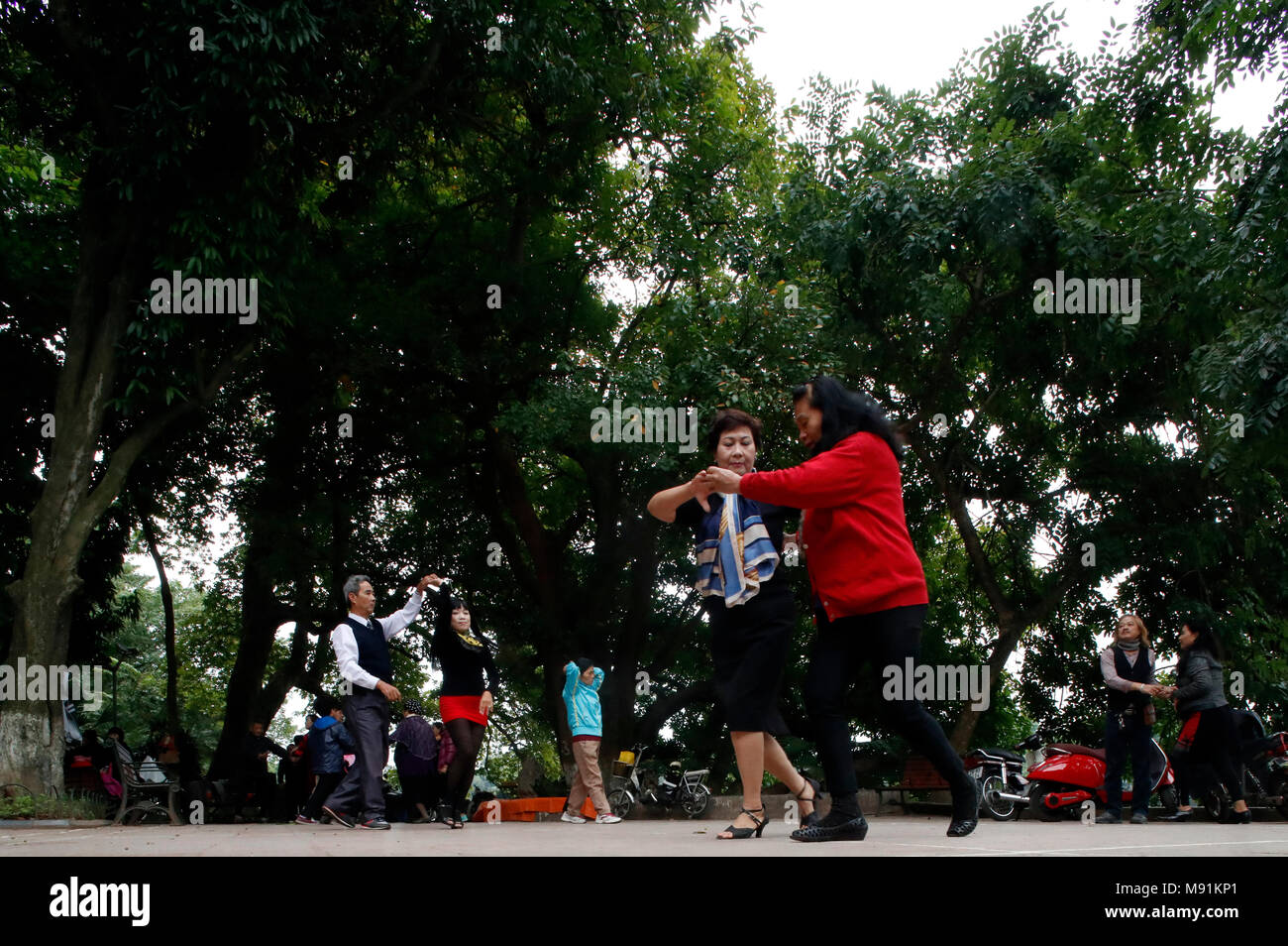 Early morning tai chi session along the banks of Hoan Kiem lake. Exercises with fans. Hanoi. Vietnam. Stock Photo