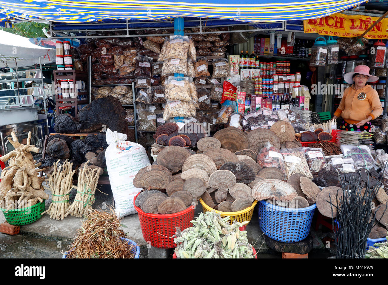 Market in Duong Dong town.  Medicinal herbs on display in Chinese traditional pharmacy, Phu Quoc. Vietnam. Stock Photo