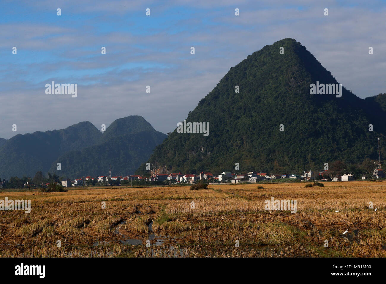 Rural life.  Rice fields after harvest.  Bac Son. Vietnam. Stock Photo