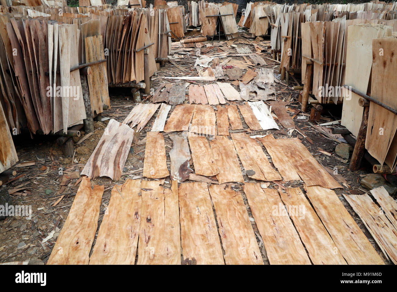 Wood factory hi-res stock photography and images - Alamy