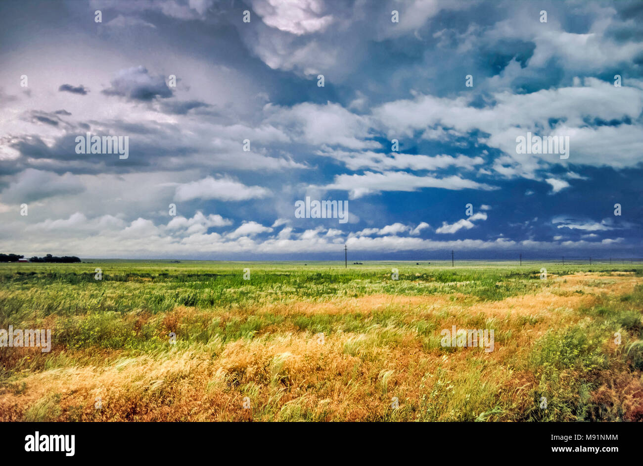 Kiowa national grassland prairie hires stock photography and images