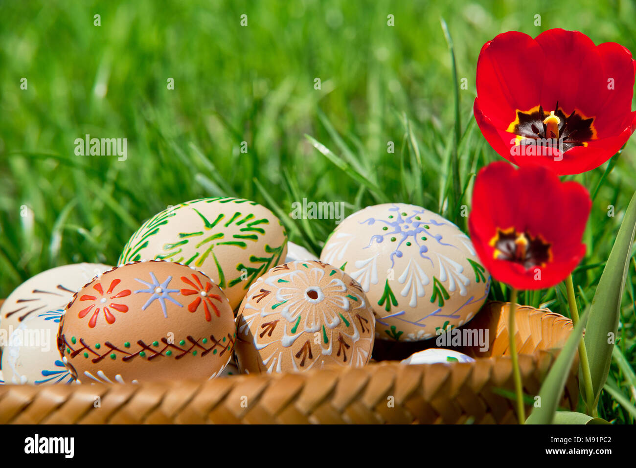Easter Eggs in the Basket with Red Tulips Stock Photo - Alamy