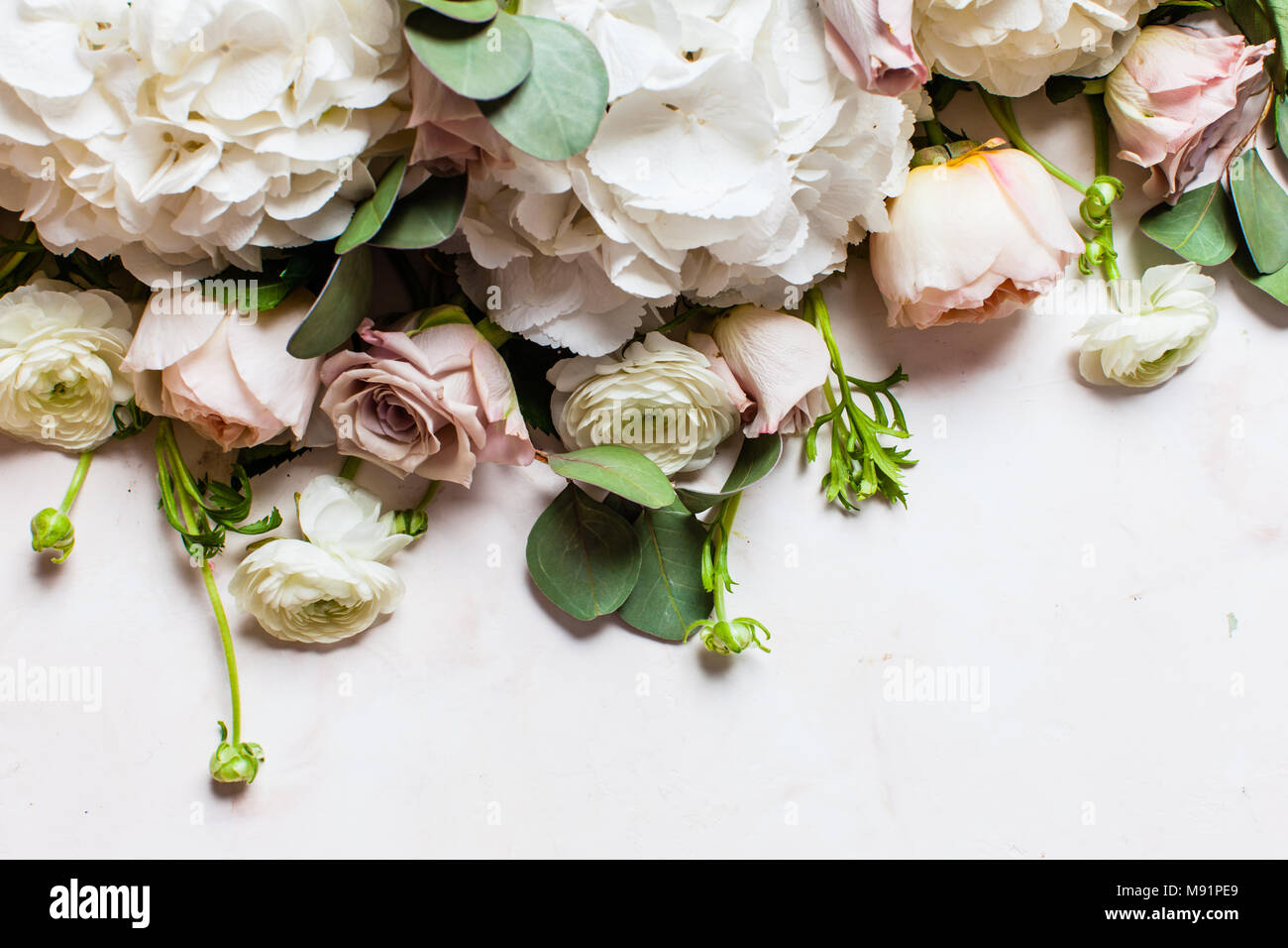 White flowers border Stock Photo Alamy