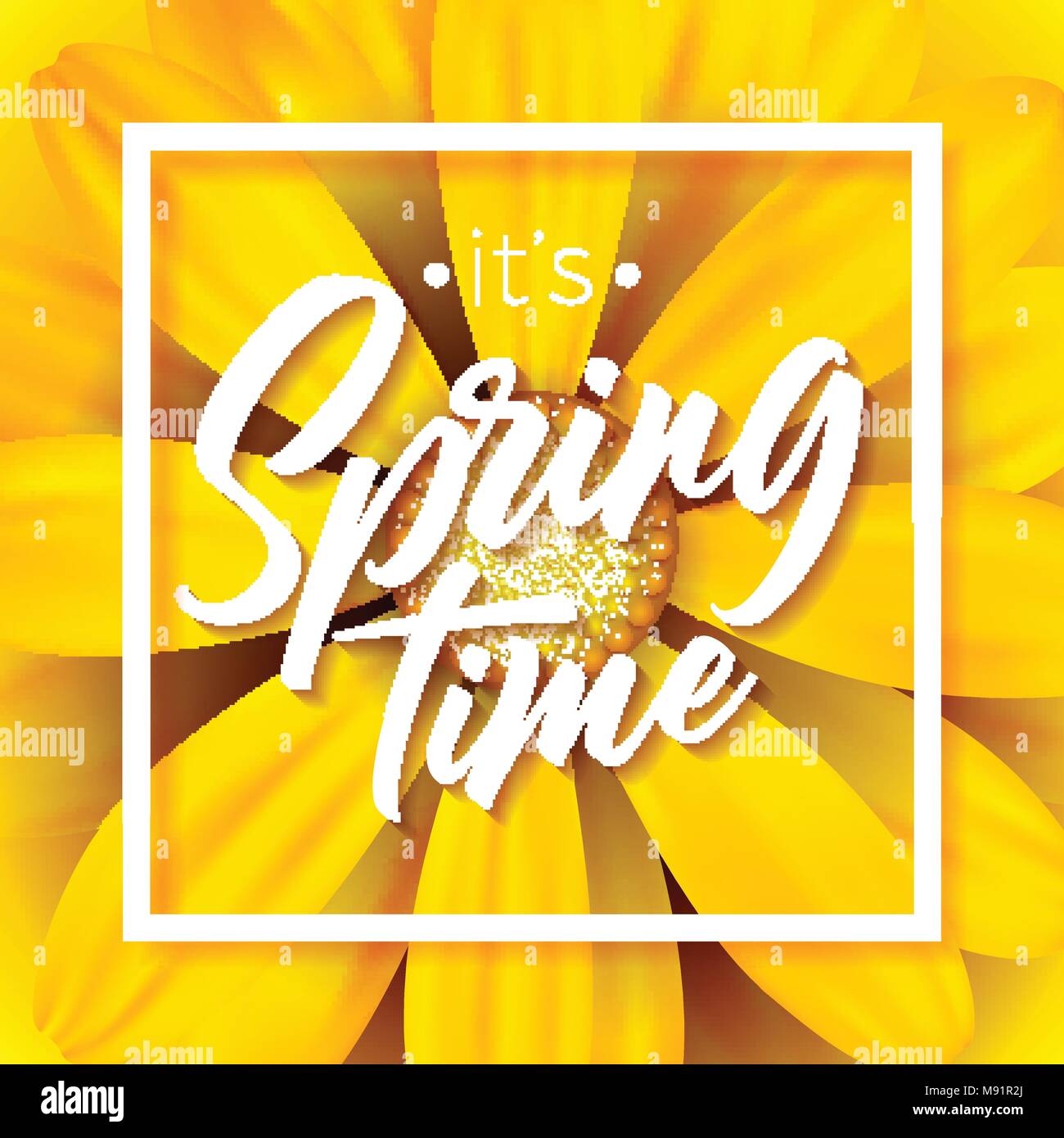 It's spring time vector illustration with beautiful colorful flower on ...