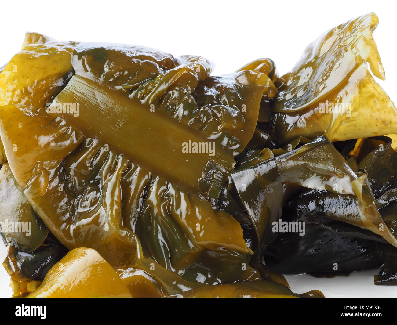 ALGA WAKAME – WAKAME SEAWEED Wakame is a sea vegetable or edible seaweed.  Basic compound of the Japanese Miso Soup. Binomial name: Undaria Pinnatifi  Stock Photo - Alamy