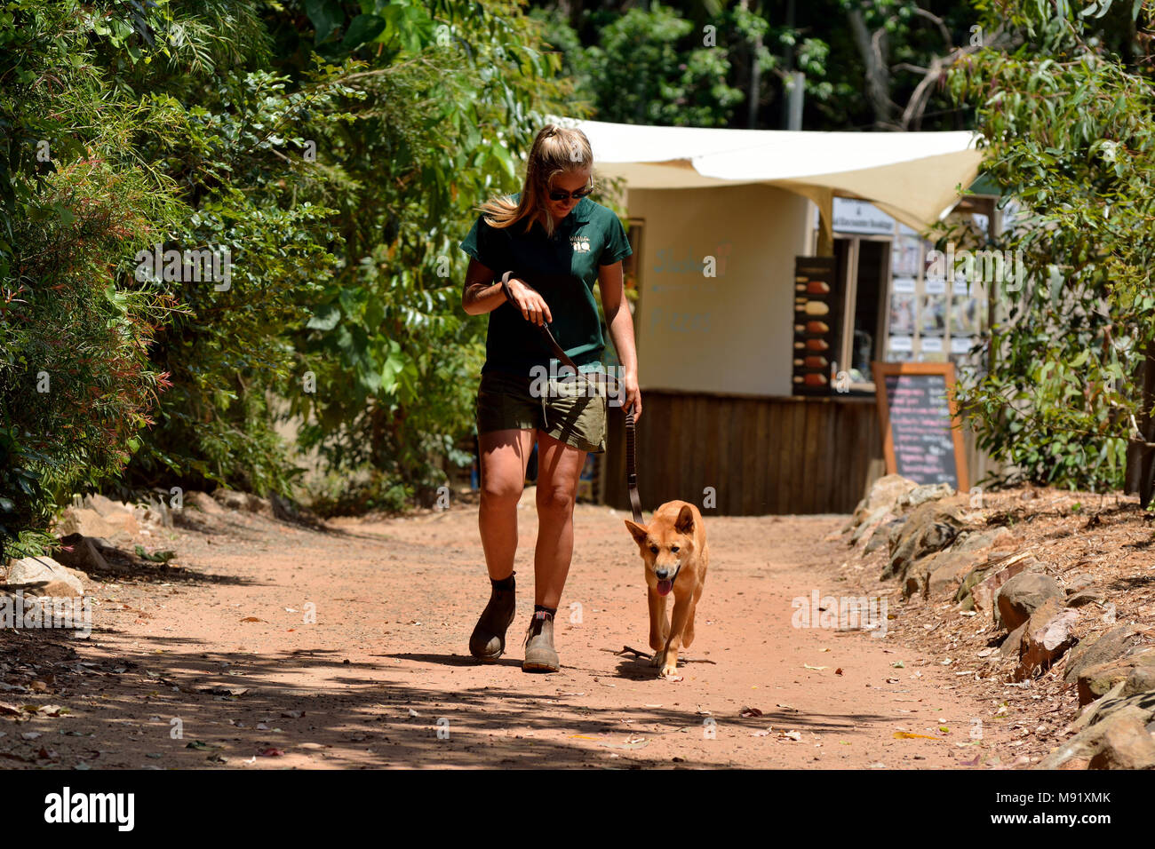 Wildlife Hq Australia