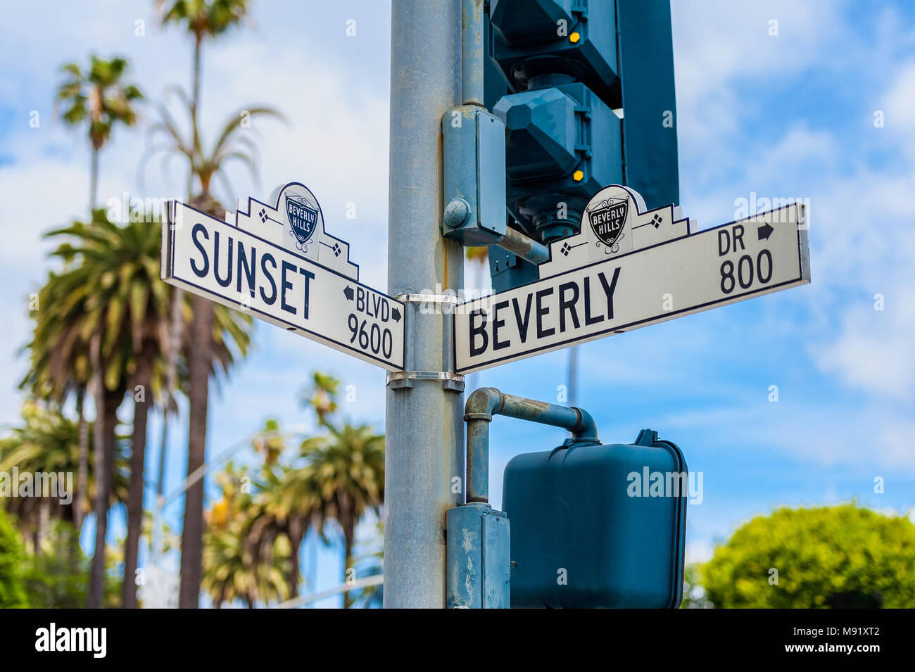 Sunset Boulevard and Beverly Drive Street Signs in Beverly Hills California Stock Photo