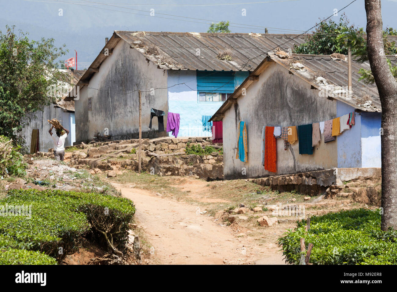 Tea plantation workers' houses on the Periakanal Estate near Munnar