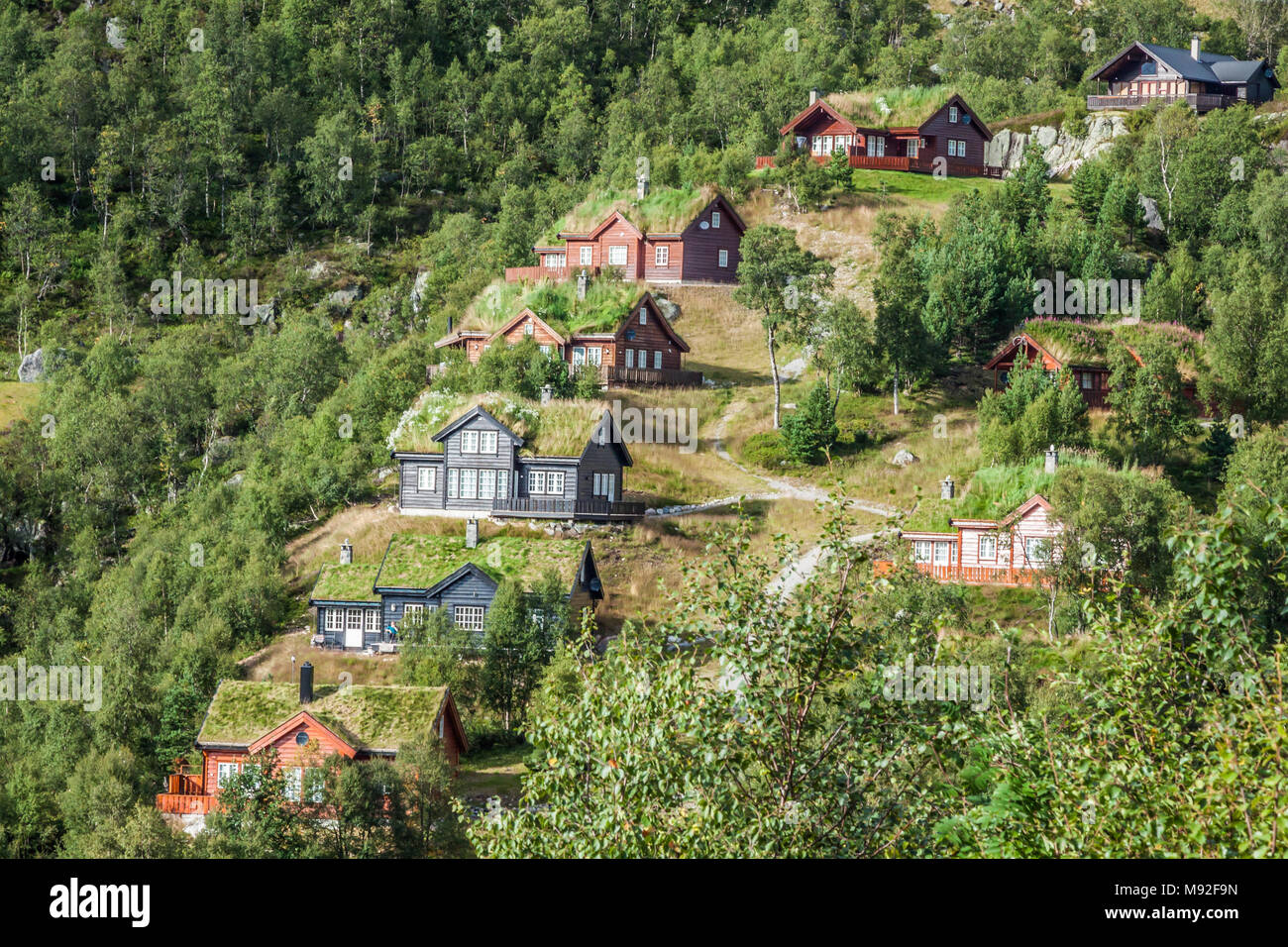 Typical norwegian house with grass on the roof Stock Photo Alamy