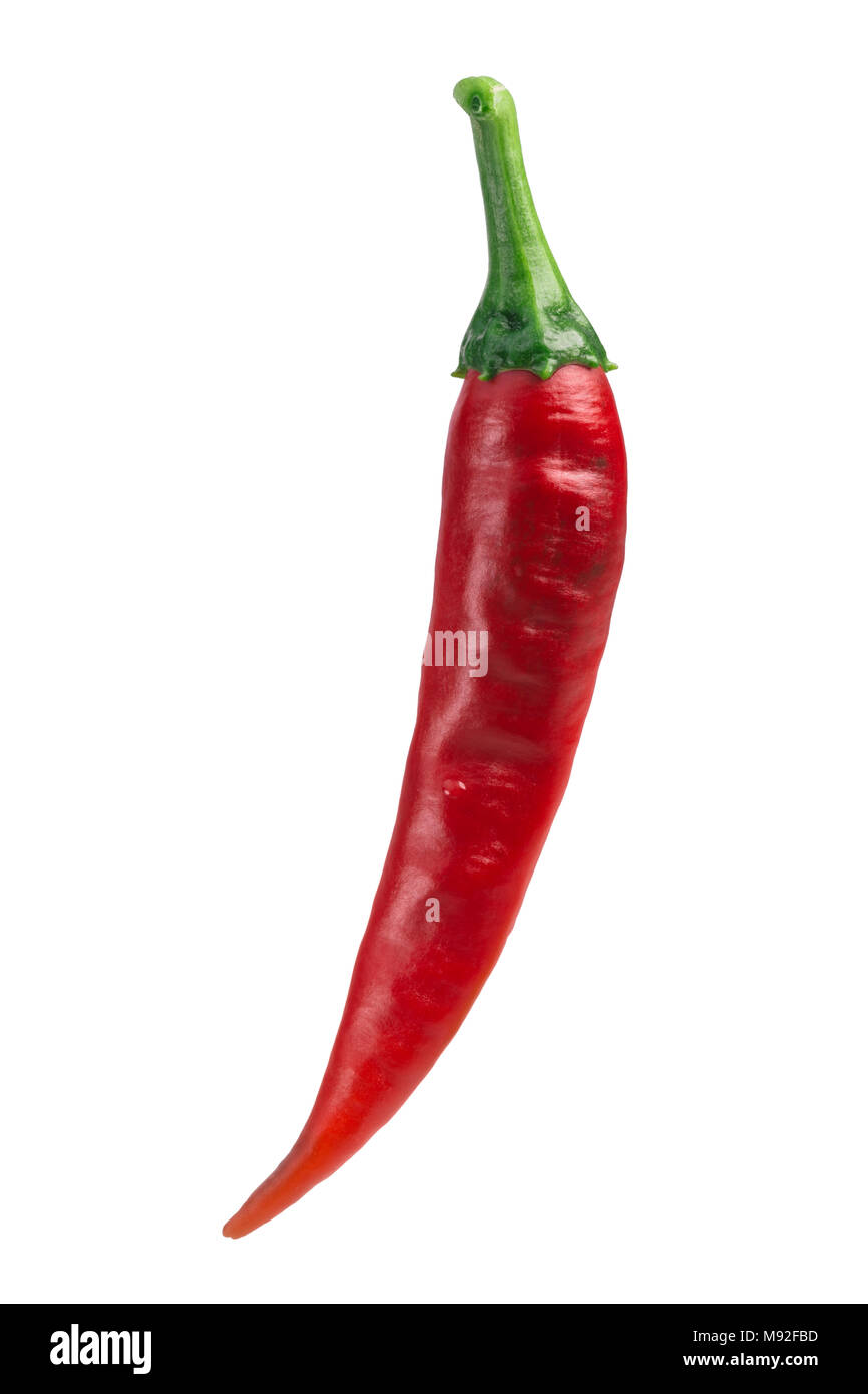 Guajillo chile pepper (Capsicum annuum), ripe pod. Clipping path Stock