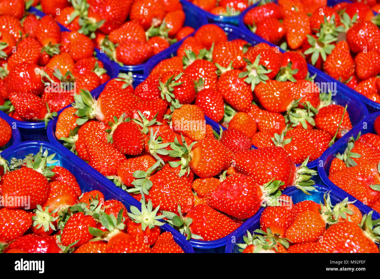 Red ripe strawberries in plastic boxes for sale Stock Photo - Alamy