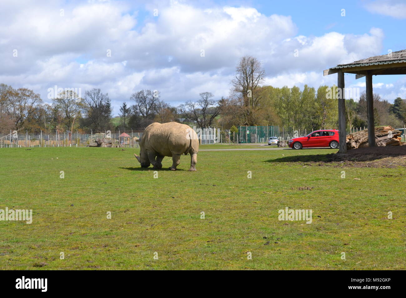 "blair Drummond safari park" "safari park" "Scotland near doune Stock Photo Alamy
