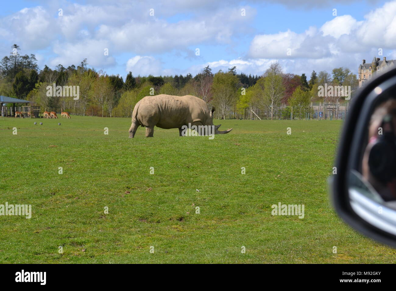 "blair Drummond safari park" "safari park" "Scotland near doune Stock Photo Alamy