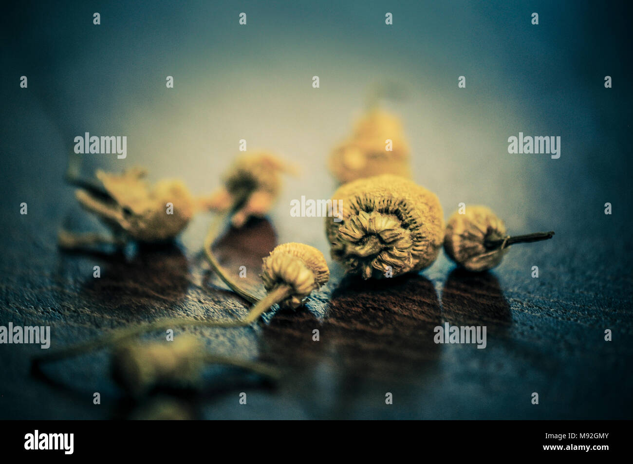 Herbs photography hi-res stock photography and images - Alamy