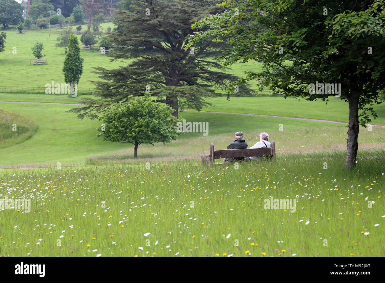An elderly couple sitting on a bench at Knightshayes Court, Tiverton, Devon, UK. The building and surrounding gardens are owned by the National Trust. Stock Photo