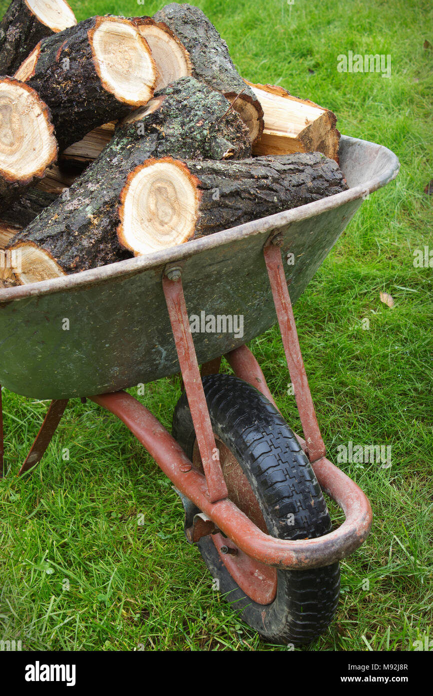 Old wheelbarrow full of firewood on a lawn Stock Photo - Alamy