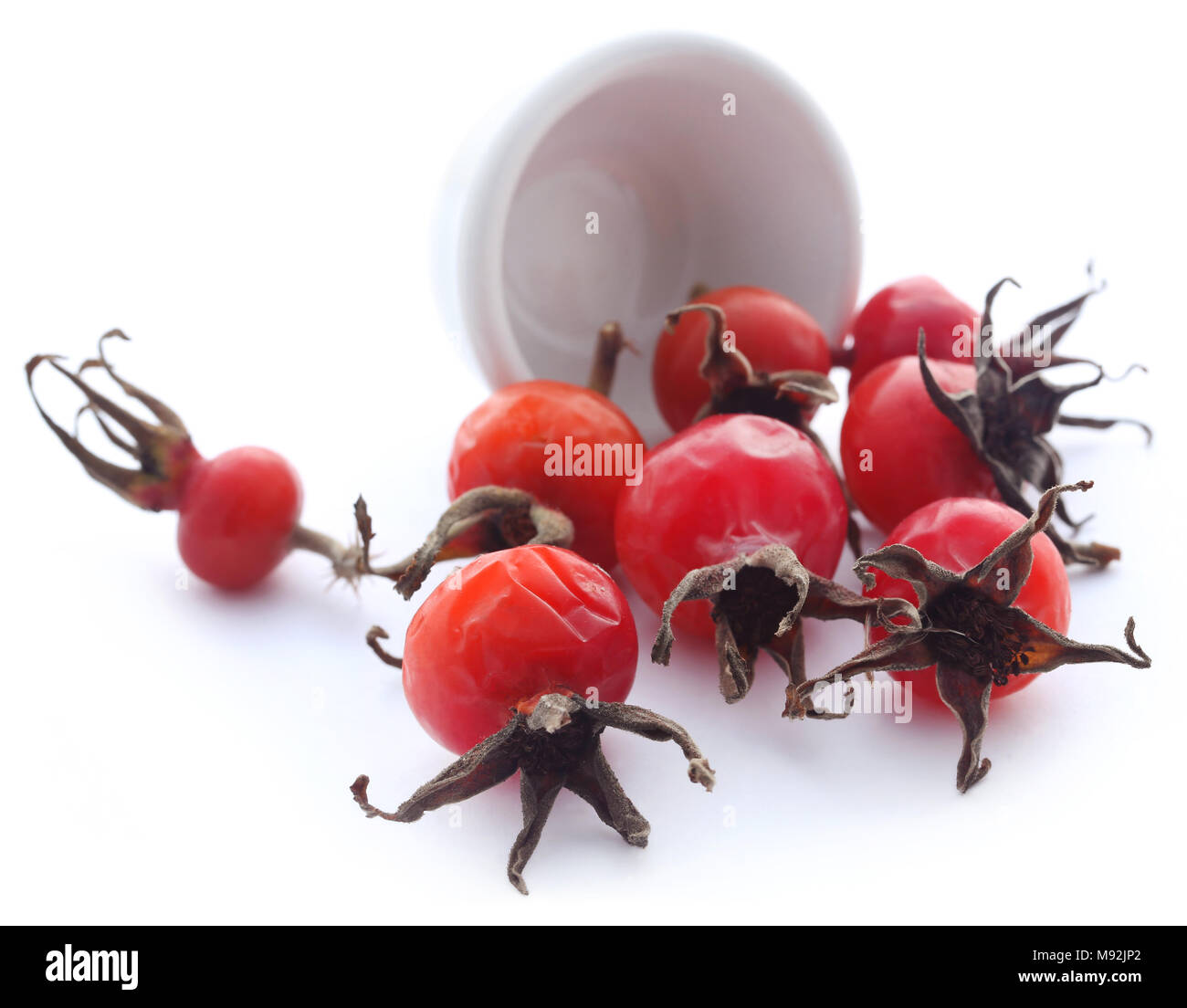 Beach roses in bowl over white background Stock Photo